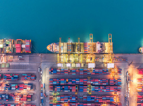 العلوم الجمركية والضريبة